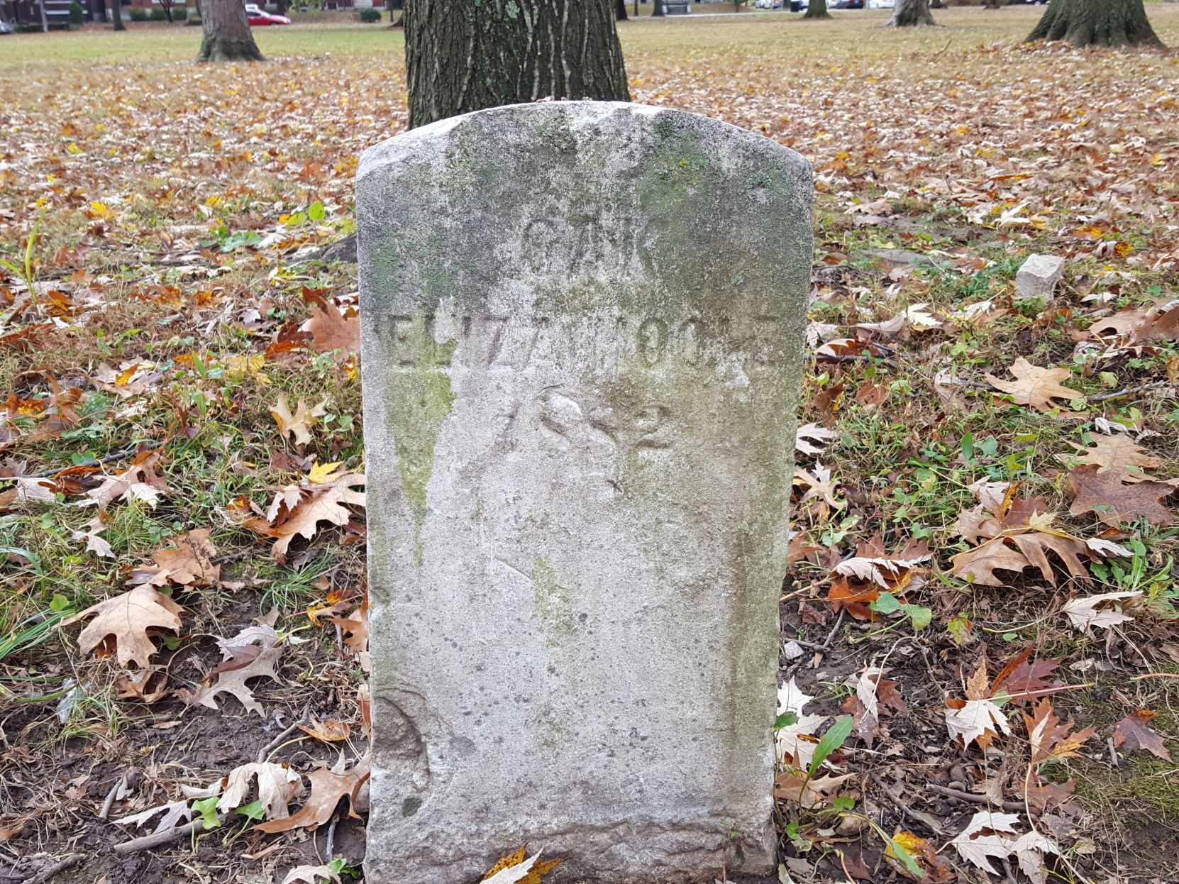 Eliza Hoole memorial marker in Tower Grove Park